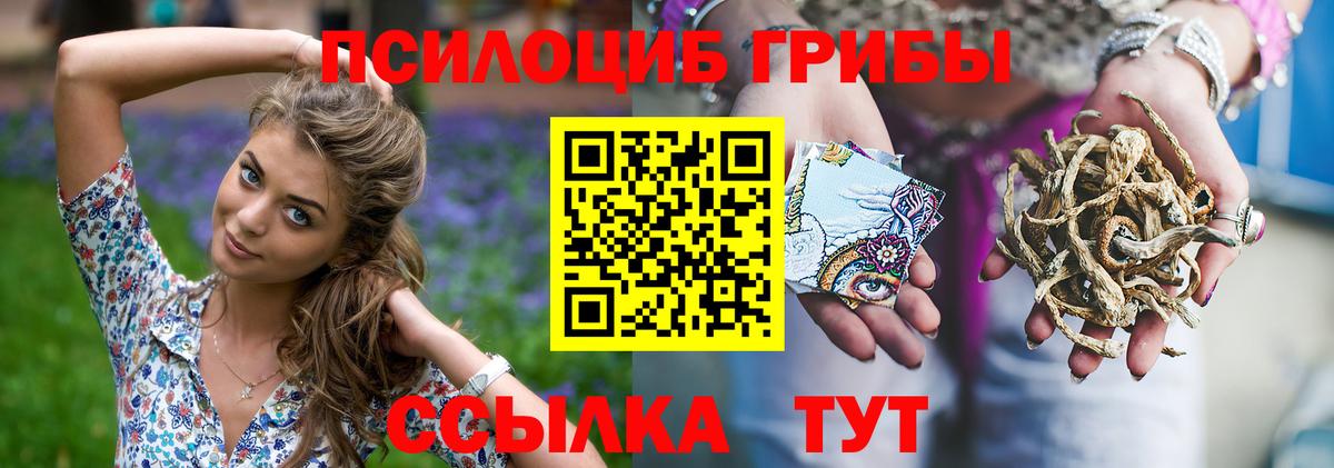 Псилоцибиновые грибы GOLDEN TEACHER Павлово