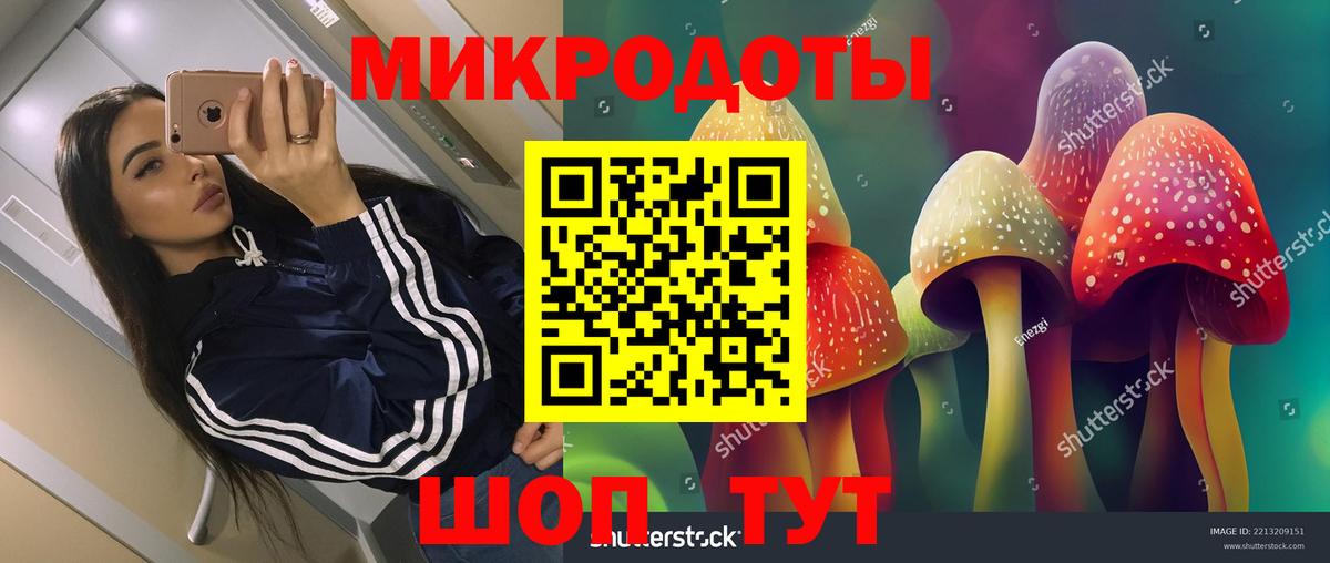 Павлово  Галлюциногенные грибы ЛСД  Вход с VPN 